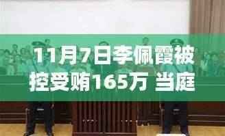 李佩霞受贿案庭审揭秘，当庭认罪悔罪，庭审日背后的温馨人生故事
