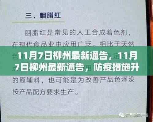 11月7日柳州防疫措施升级,城市生活运转有序——最新通告