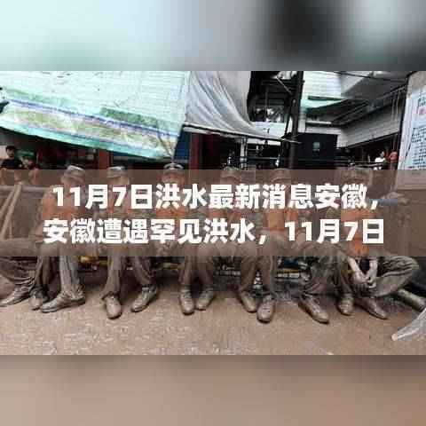 安徽遭遇罕见洪水，11月7日汛情回顾与最新影响分析