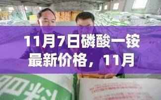 11月7日磷酸一铵最新价格动态及市场分析