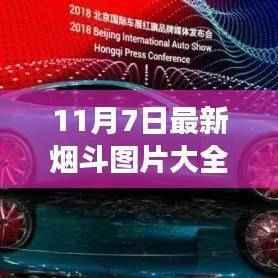 商品分类 第617页