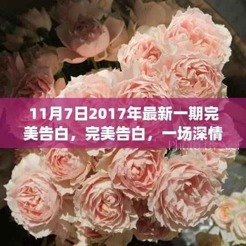 深情与勇气的邂逅，小红书社区分享的完美告白