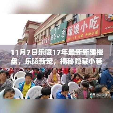 揭秘乐陵梦幻楼盘与独特小店,新建楼盘探秘与隐藏小巷风情展露