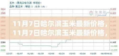 11月7日哈尔滨玉米价格动态,变化中的学习,自信与成就感的源泉