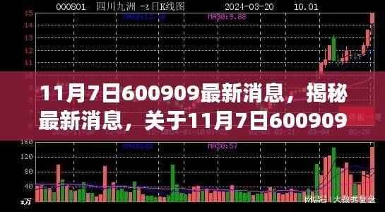 揭秘11月7日事件,全面解读最新消息关于600909事件