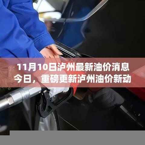 泸州油价最新动态,今日油价调整及新动态消息发布(11月10日)