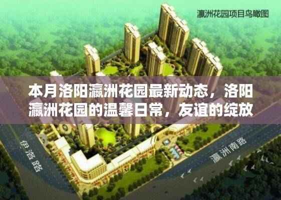 洛阳瀛洲花园本月动态,友谊与家的温馨日常