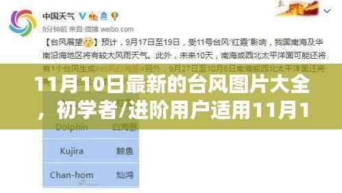 11月10日最新台风图片大全及获取指南,适合初学者与进阶用户