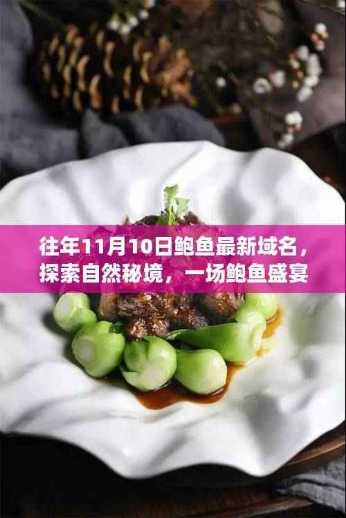 鲍鱼盛宴与秘境探索,一场寻找内心平静的鲍鱼最新域名奇妙旅程