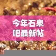 石泉吧最新热门帖子揭秘,探索石泉的最新动态与魅力