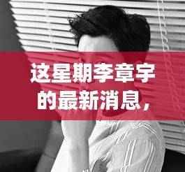 李章宇最新动态解析,产品特性、用户体验与目标用户深度探讨