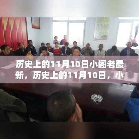 揭秘历史上的小阁老,最新揭秘与事件回顾(日期,11月10日)