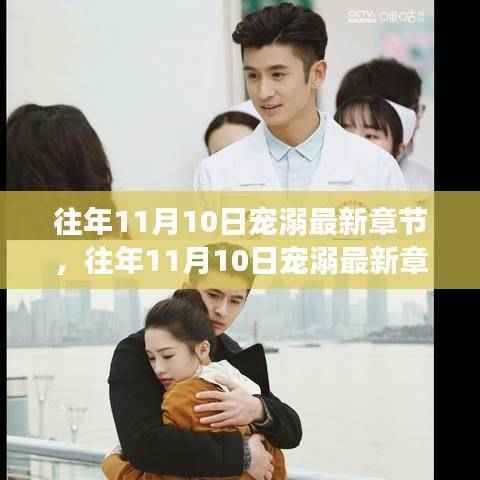 往年11月10日宠溺，甜蜜邂逅之旅的最新章节