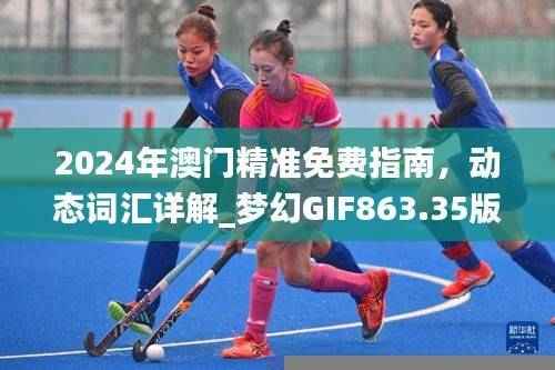 2024年澳门精准免费指南，动态词汇详解_梦幻GIF863.35版