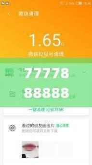 7777888888管家精准管家婆免费,最新研究解析说明_付费版700.84