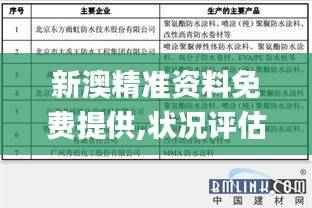 新澳精准资料免费提供,状况评估解析_专用版WIO98.73