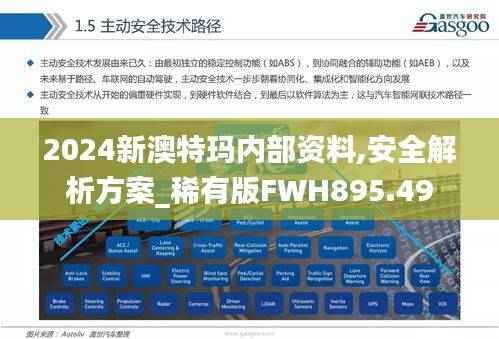 2024新澳特玛内部资料,安全解析方案_稀有版FWH895.49