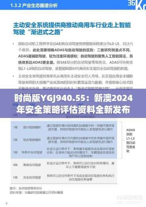 时尚版YGJ940.55：新澳2024年安全策略评估资料全新发布