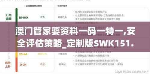 澳门管家婆资料一码一特一,安全评估策略_定制版SWK151.57