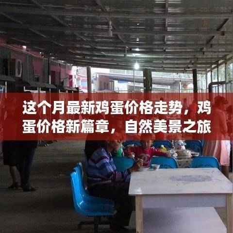 江南烟雨断桥殇 第41页