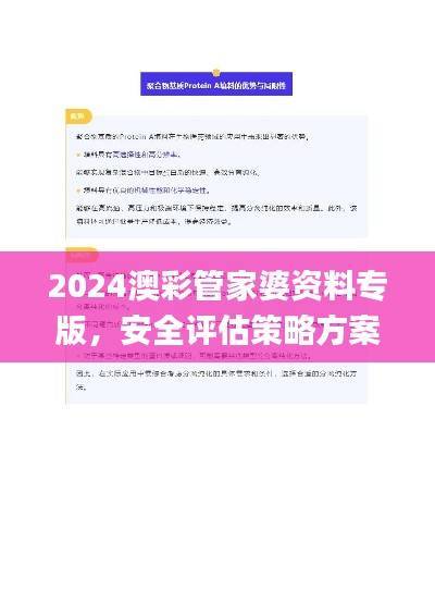 2024澳彩管家婆资料专版,安全评估策略方案_YDI345.48