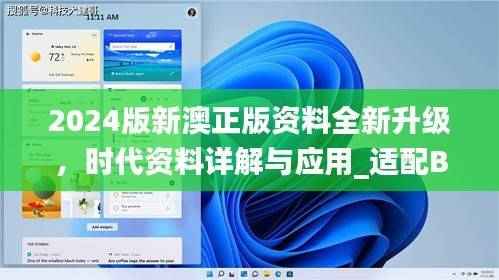 2024版新澳正版资料全新升级,时代资料详解与应用_适配BCH598.46