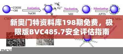 新奥门特资料库198期免费,极限版BVC485.7安全评估指南