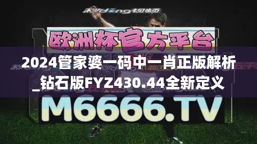 2024管家婆一码中一肖正版解析_钻石版FYZ430.44全新定义