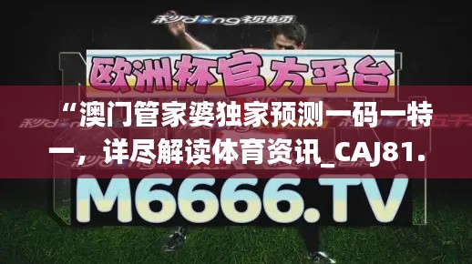 “澳门管家婆独家预测一码一特一,详尽解读体育资讯_CAJ81.4版”