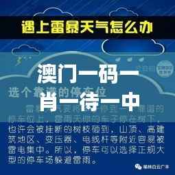 澳门一码一肖一待一中今晚,专业执行问题_大师版FYU362.72