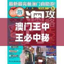 澳门王中王必中秘籍，深度解析版ABY898.18前瞻