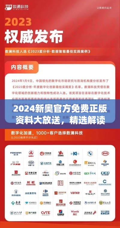 2024新奥官方免费正版资料大放送,精选解读网红NXG95.69攻略