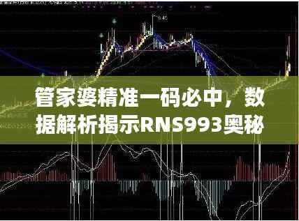 管家婆精准一码必中，数据解析揭示RNS993奥秘