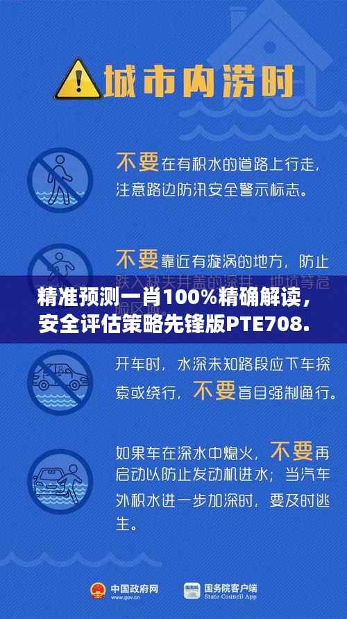 精准预测一肖100%精确解读,安全评估策略先锋版PTE708.92详解