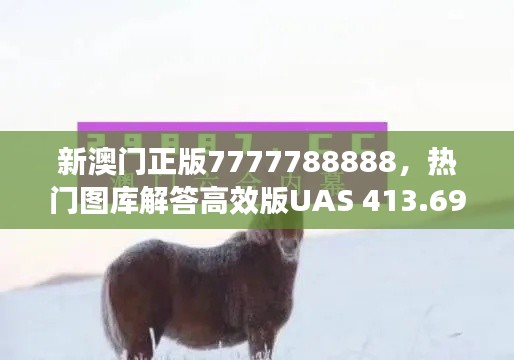 新澳门正版7777788888,热门图库解答高效版UAS 413.69