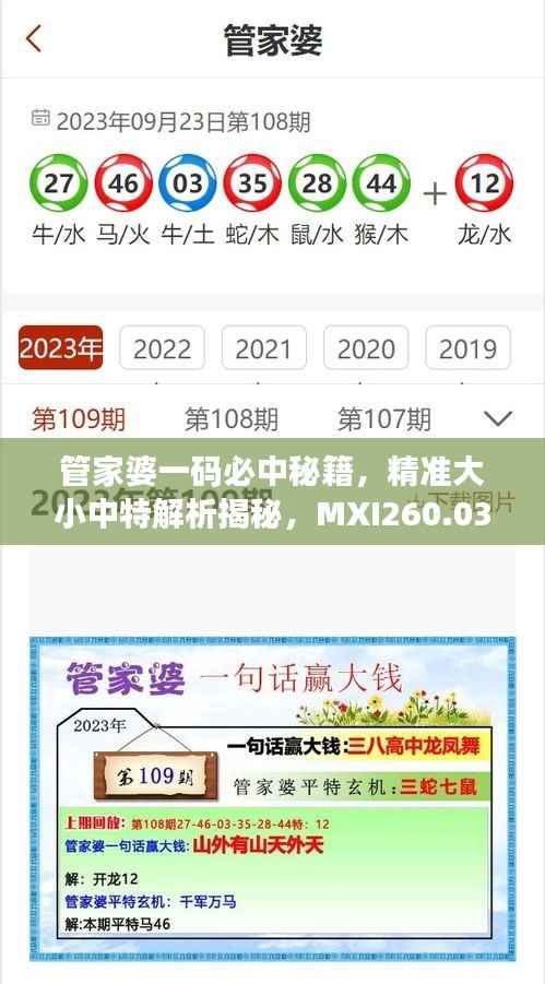 管家婆一码必中秘籍,精准大小中特解析揭秘,MXI260.03特别版攻略