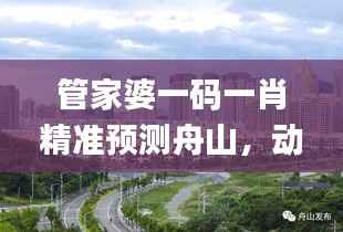 管家婆一码一肖精准预测舟山,动态词汇解读_动画演示版ZAV861.56