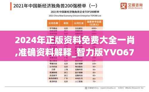 2024年正版资料免费大全一肖,准确资料解释_智力版YVO676.99