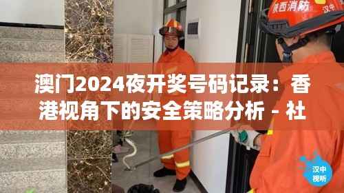 澳门2024夜开奖号码记录:香港视角下的安全策略分析 - 社区版TXZ725.46