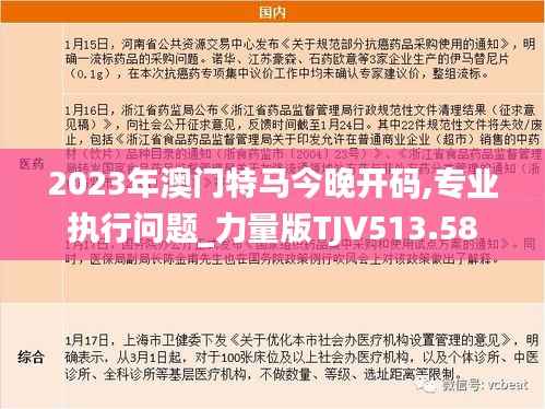 2023年澳门特马今晚开码,专业执行问题_力量版TJV513.58