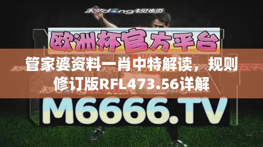 管家婆资料一肖中特解读,规则修订版RFL473.56详解