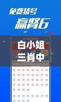 白小姐三肖中特开奖结果,综合计划赏析_引气境ACT364.48