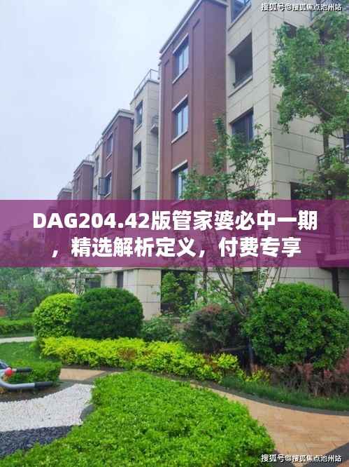 DAG204.42版管家婆必中一期，精选解析定义，付费专享