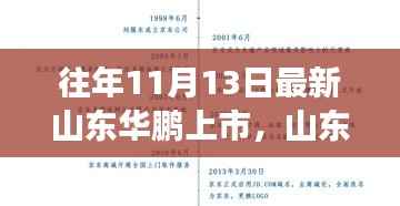 揭秘山东华鹏发展历程及上市对市场的影响