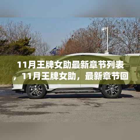 11月王牌女助,最新章节回顾与领域地位探析及最新动态