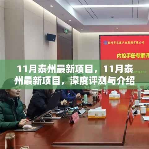 11月泰州最新项目深度评测与介绍