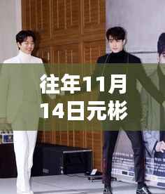 往年11月14日元彬最新资讯,友情盛宴与爱的日常陪伴