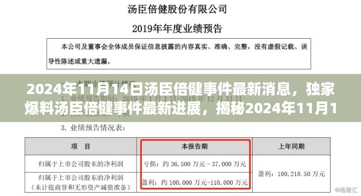 独家揭秘,汤臣倍健事件最新进展与深度解析(2024年11月14日最新消息)