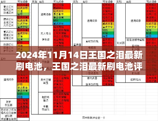 王国之泪最新刷电池评测,特性详解、体验分享、竞品对比与目标用户分析(2024年11月更新)