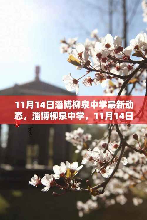 淄博柳泉中学11月14日新动态,自信与成就感的源泉开启新篇章